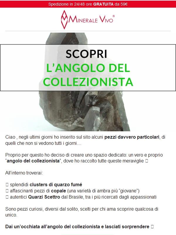 Scopri i migliori pezzi da collezione
