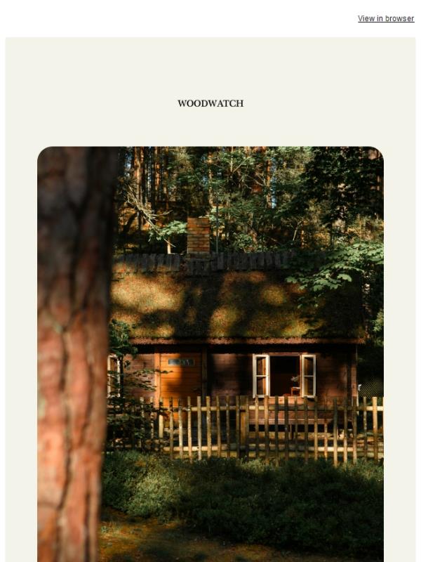 The Friday Pause: A Quiet Easter 🌿