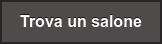 Trova un salone
