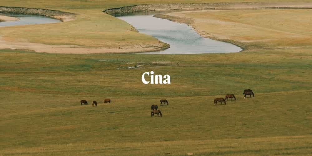 Cina