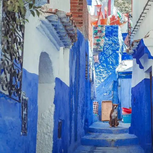 Activity image: Escursione a Chefchaouen da Fez (Tour di gruppo condiviso)