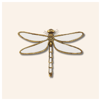 Decorazione Da Parete Dragonfly Mirror 35cm