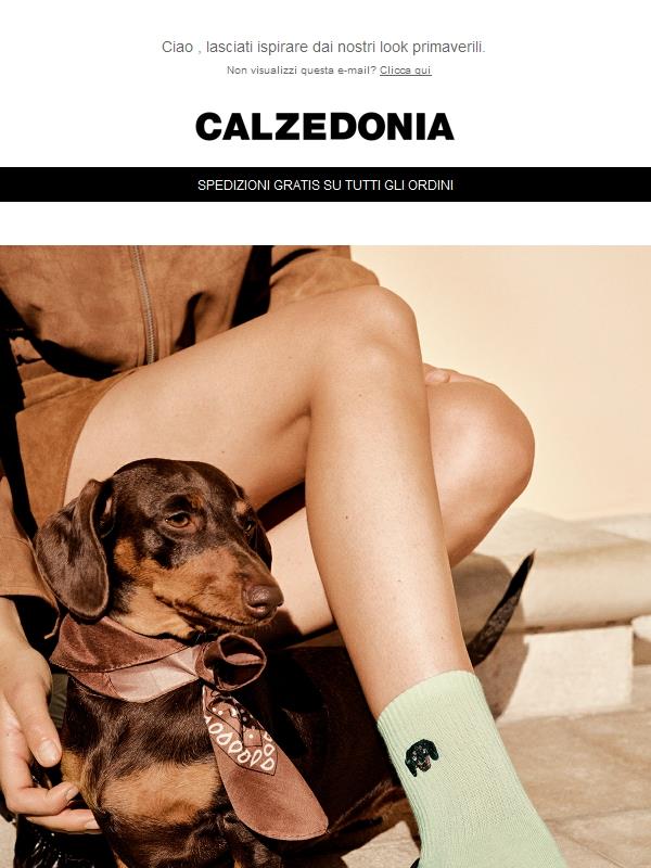 Buona Pasqua! Spedizioni gratis per te