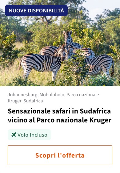 Sensazionale safari in Sudafrica vicino al Parco nazionale Kruger