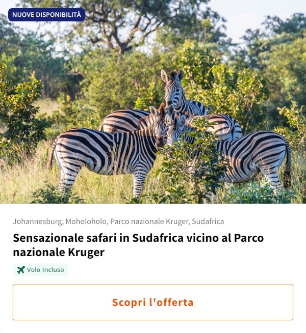 Sensazionale safari in Sudafrica vicino al Parco nazionale Kruger