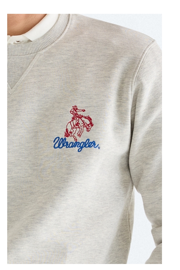 Regular Embroidery Crew Sweatshirt