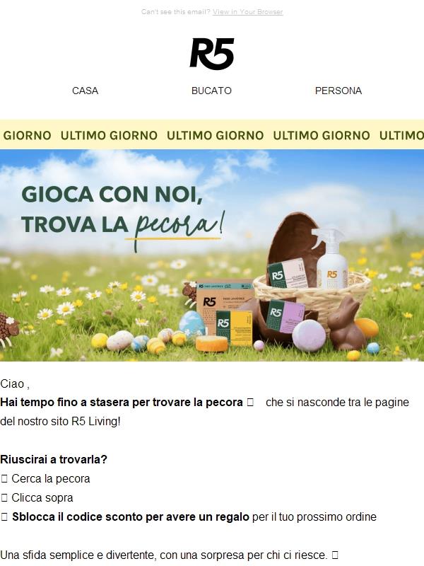 🚨 Ultimo giorno, gioca con noi!