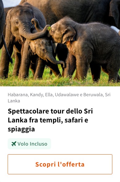 Spettacolare tour dello Sri Lanka fra templi, safari e spiaggia