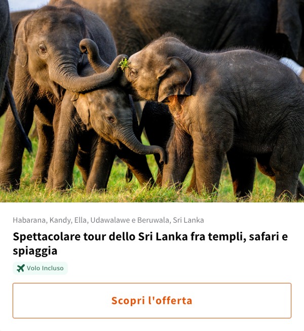 Spettacolare tour dello Sri Lanka fra templi, safari e spiaggia