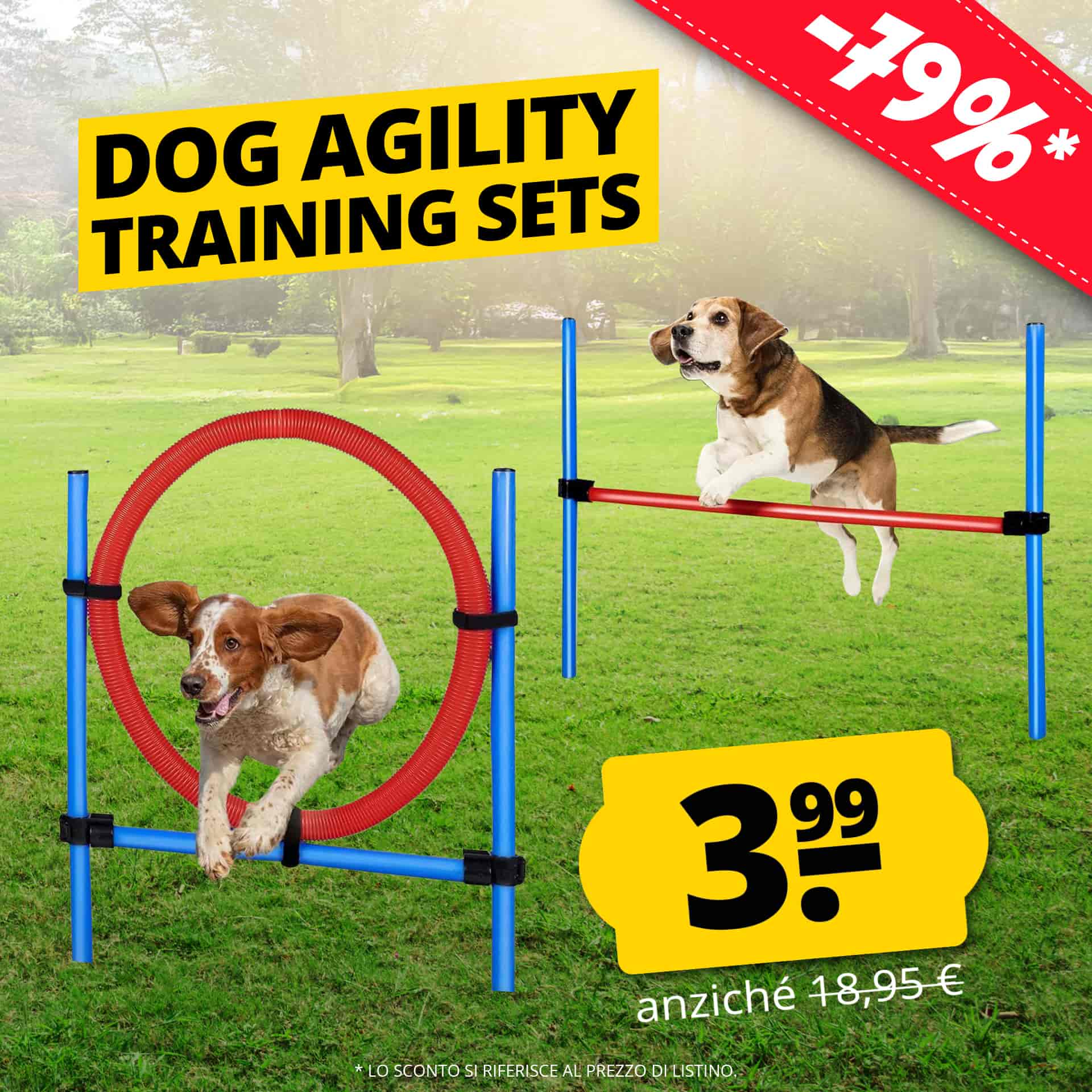maxxpro agility spring stick set agility per cani