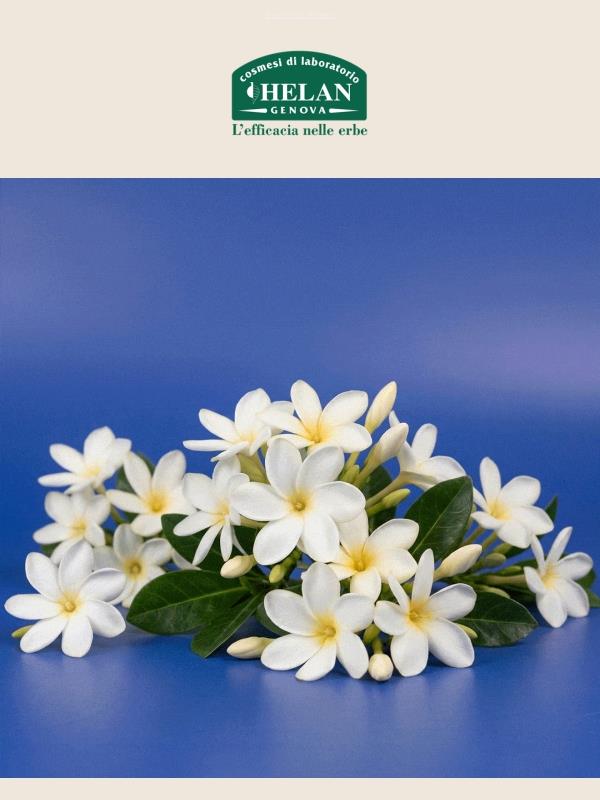 Monoi de Tahiti: l’essenza del sole