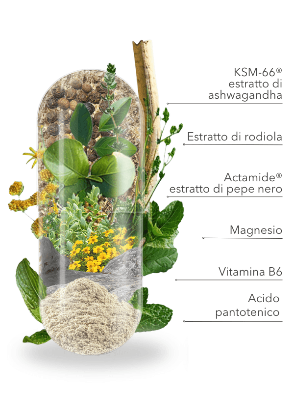 Ingredienti naturali di alta qualità