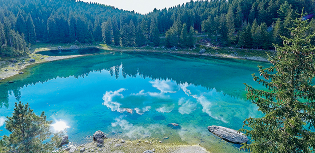 Turquoise alpine lake with cloud reflections, rocky shoreline and dense pine forest — clear water in a mountain landscape