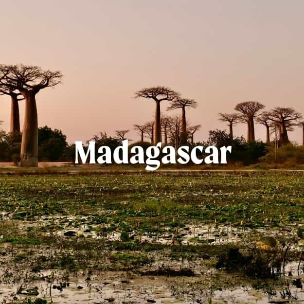 Madagascar