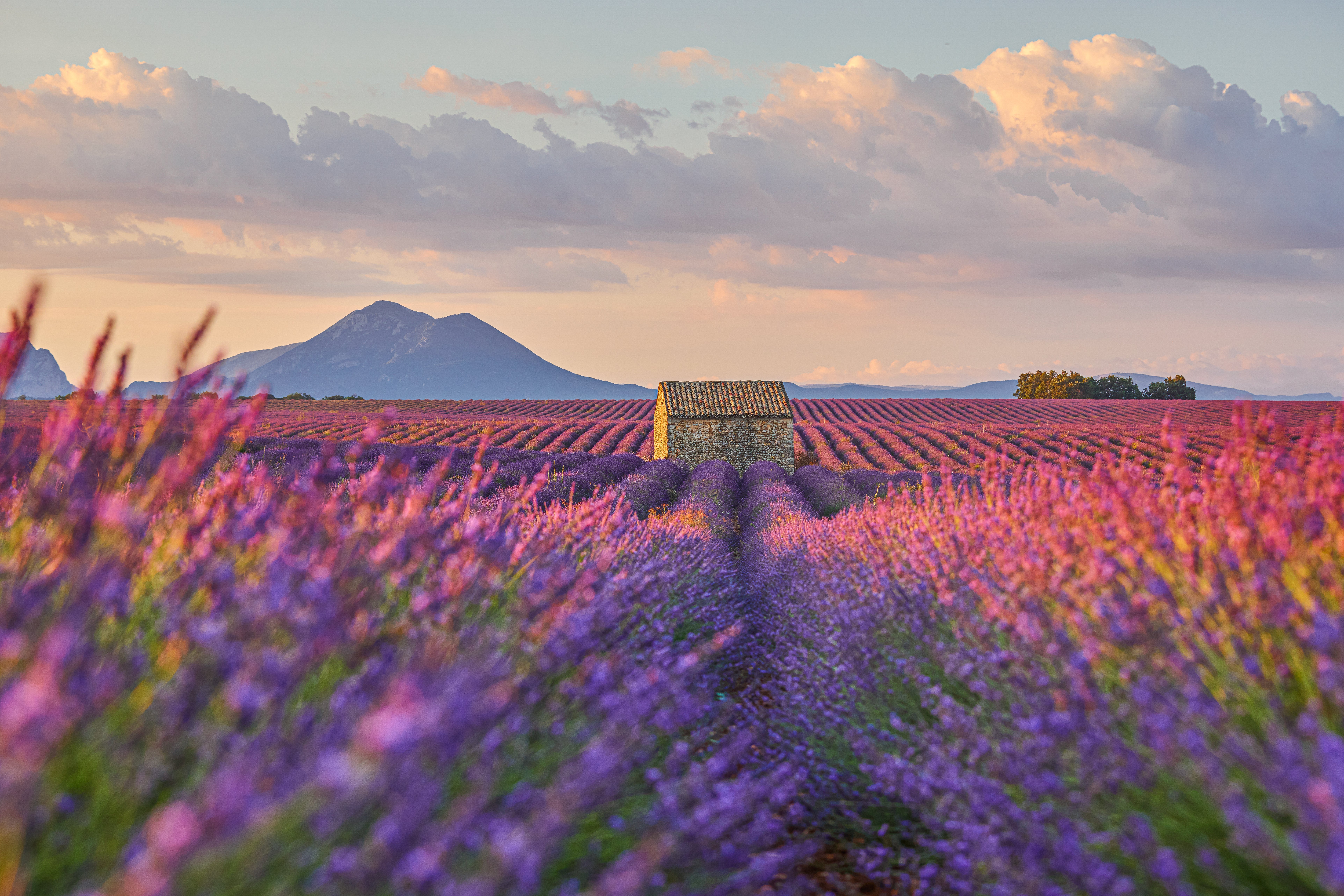Luoghi spettacolari da visitare in Europa in primavera