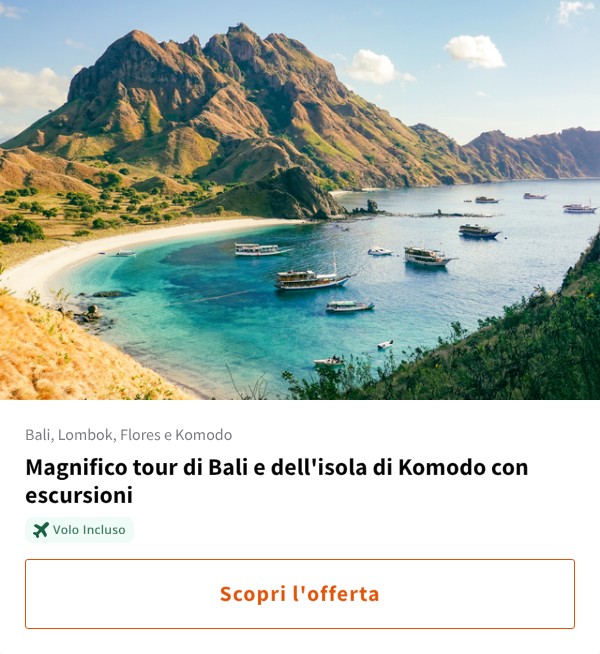 Magnifico tour di Bali e dell'isola di Komodo con escursioni