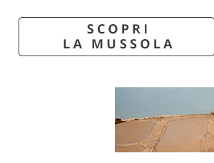 Scopri la mussola