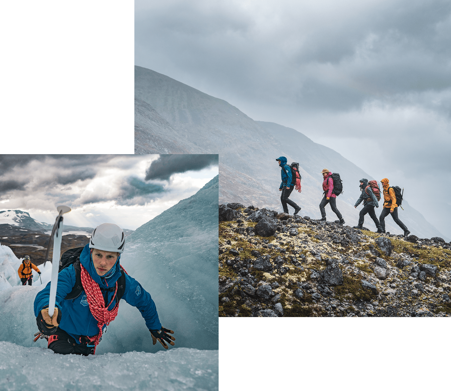 Shop the Odin Collection