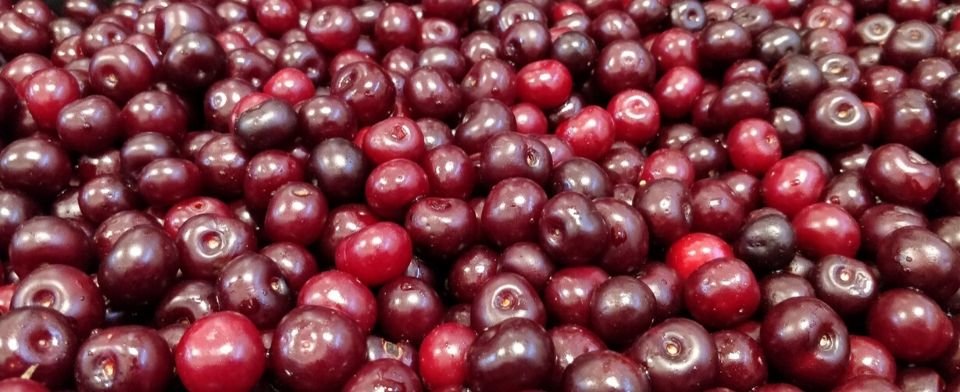 Visciole: il gusto che sorprende