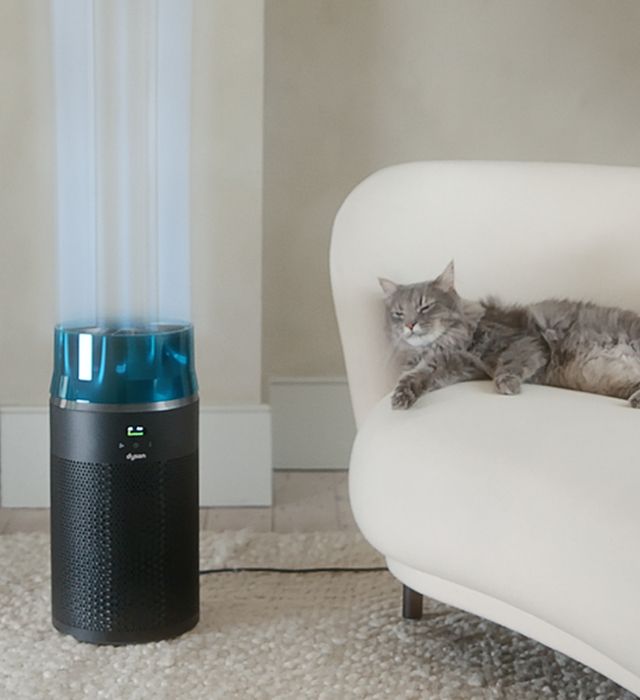 Il purificatore Dyson HushJet Purifier Compact filtra i pollini dall’ambiente, rilasciando aria pulita.