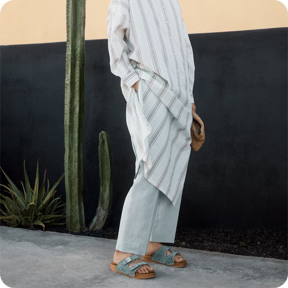 an image of a cactus plant with a clear blue sky in the background