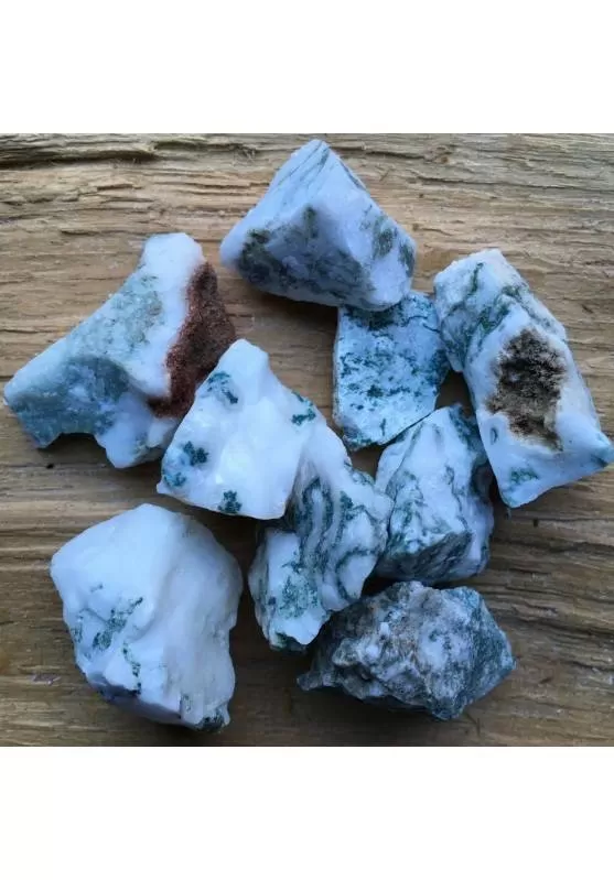 Image of AGATA ARBORIZZATA GREZZO Quarzo Minerale Cristalloterapia Chakra Reiki A+