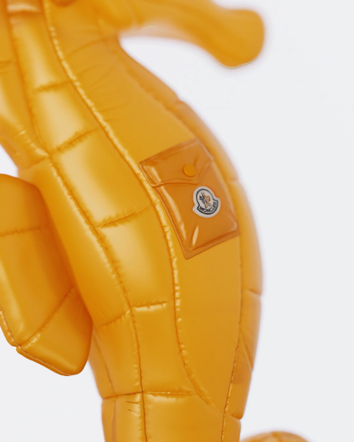 Accessori Acquista sul sito web di Moncler