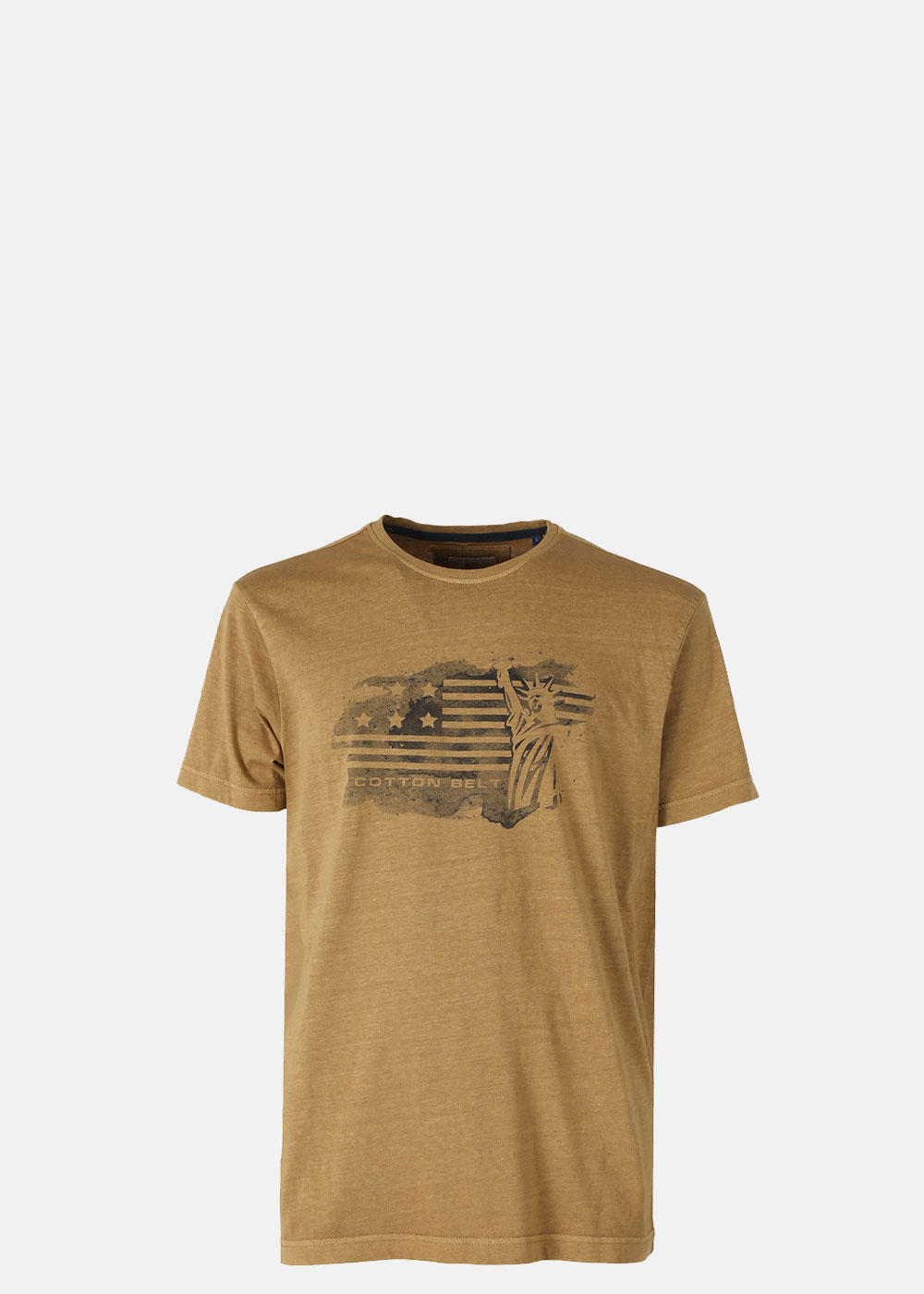 Men's brown cotton-blend T-shirt with distressed American flag and Statue of Liberty print, front view on white background