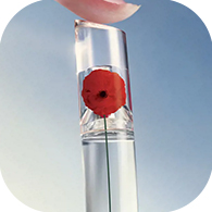 Profumi ricaricabili