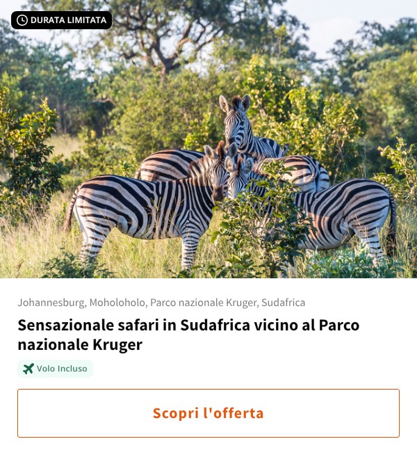 Sensazionale safari in Sudafrica vicino al Parco nazionale Kruger