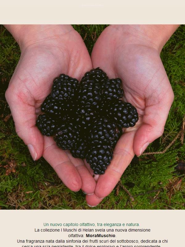 MoraMuschio: il nuovo fascino della natura