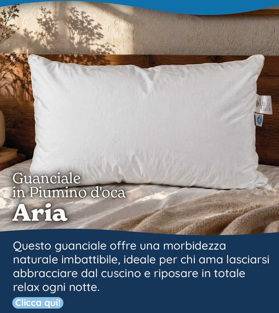 Guanciale in Piumino d'oca - Aria