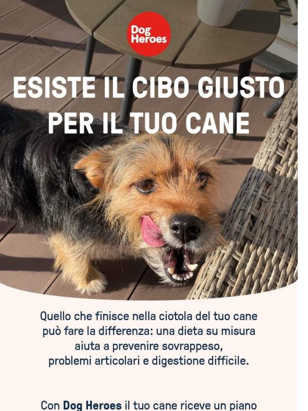 Un regalo per te: -30% e bandana