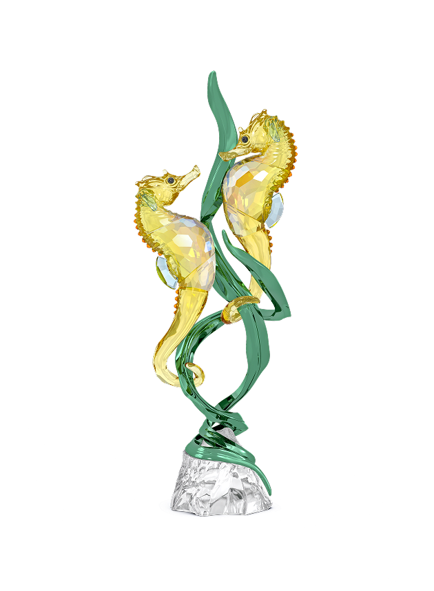 Coppia di cavallucci marini