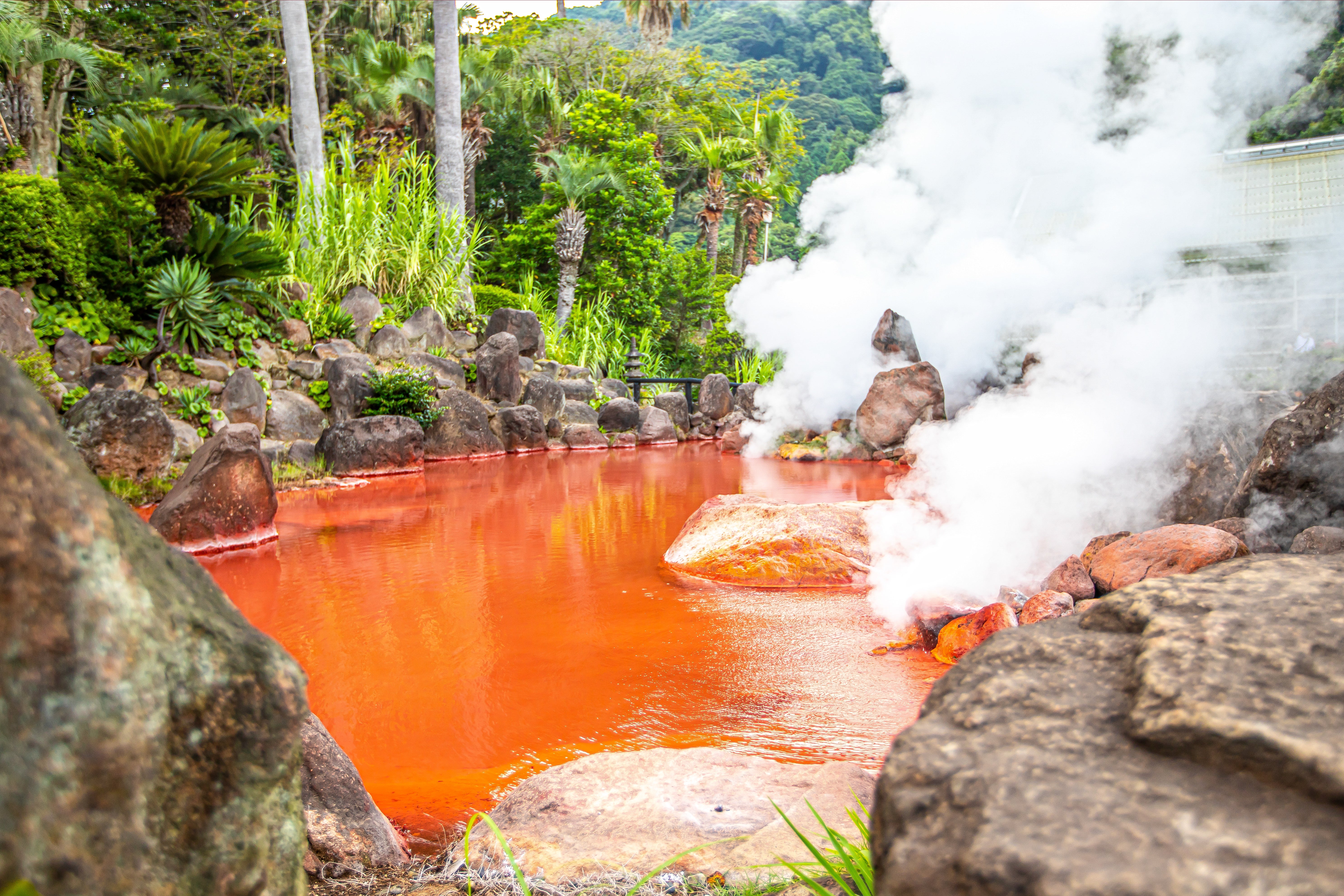Scopri i macachi intenti a crogiolarsi nelle sorgenti termali del Giappone