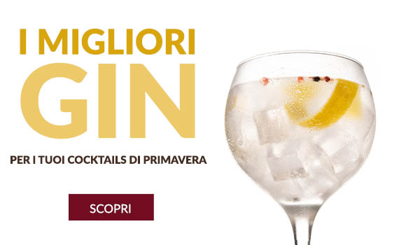 I migliori gin