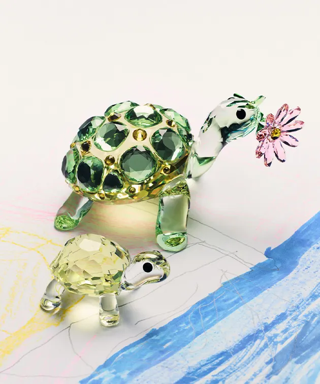 Creazioni della linea Idyllia Tartaruga su un disegno dai tratti infantili