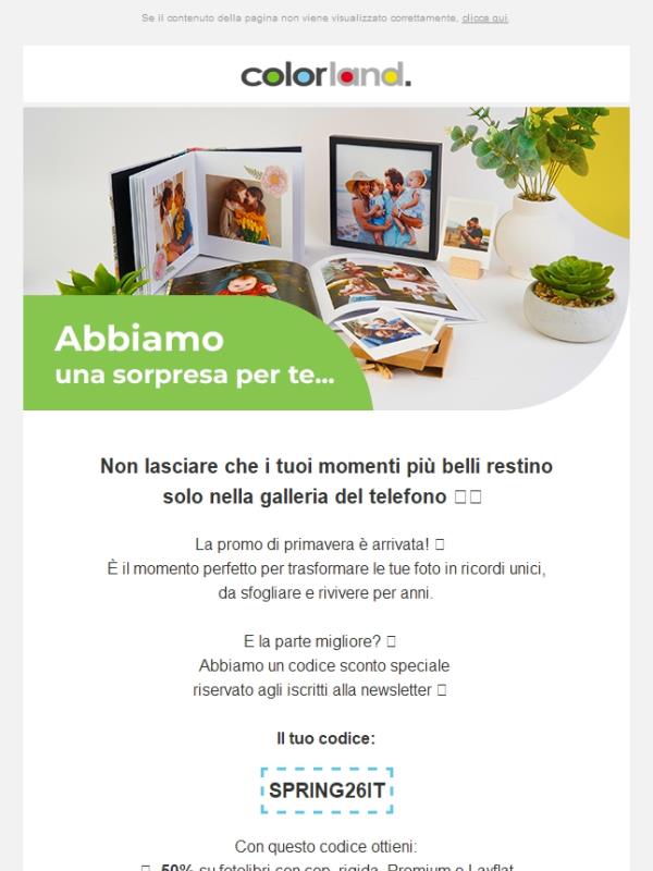 PROMO ALERT! 🚨💛