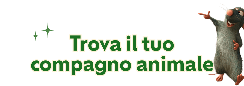 Trova il tuo compagno animale