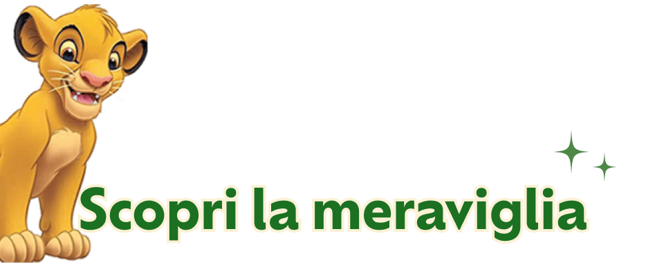 Scopri la meraviglia