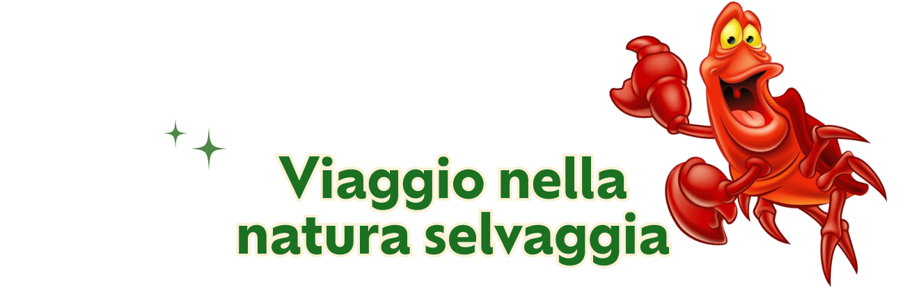 Viaggio nella natura selvaggia