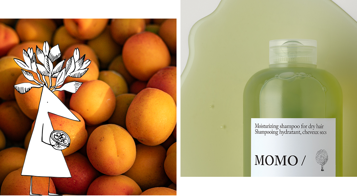 Nuova Essential Haircare | Davines