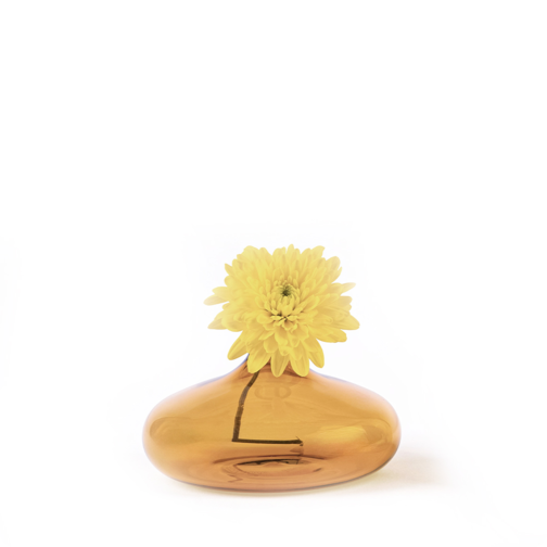 6 cm - Un Fiore Vaso Fiori In Vetro Borosilicato - Oro