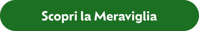 Scopri la Meraviglia