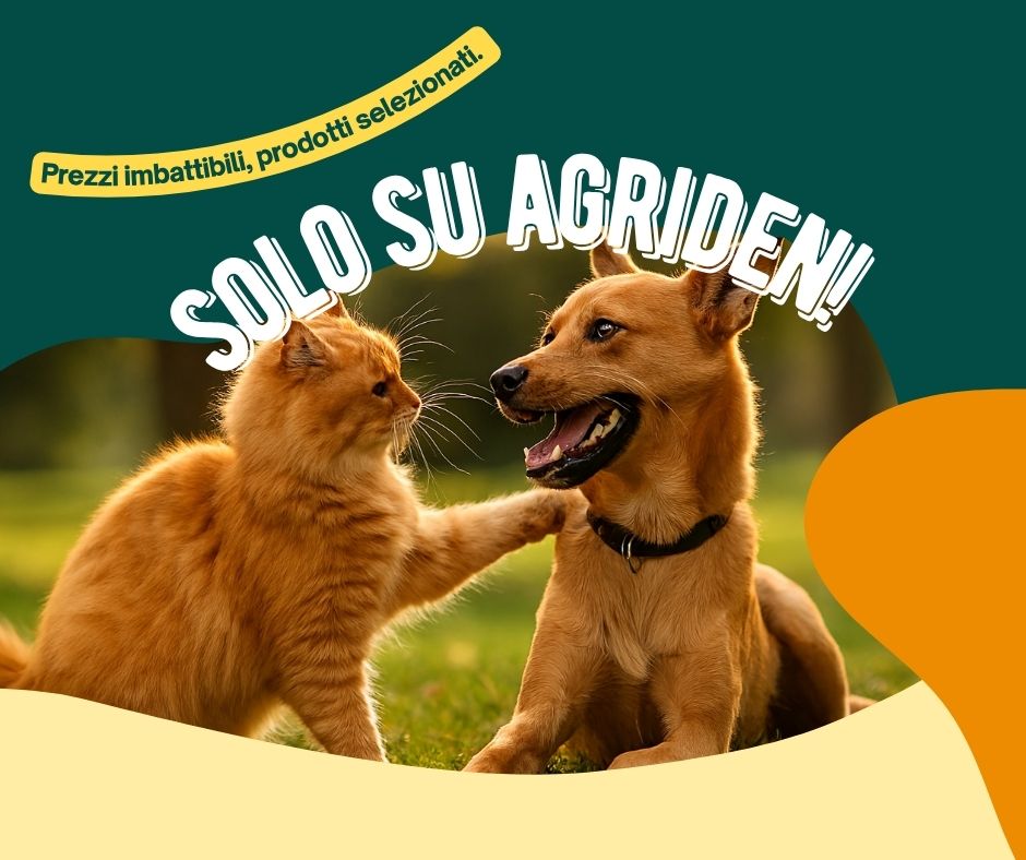 benvenuto-su-agriden