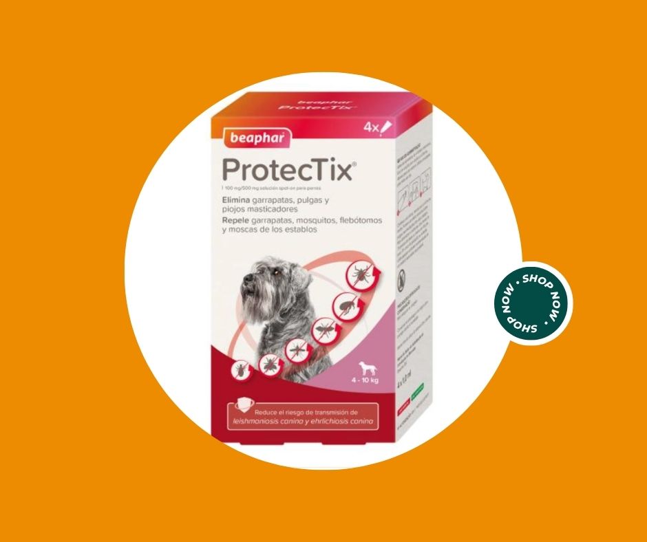 Caolino polvere di roccia corroborante naturale