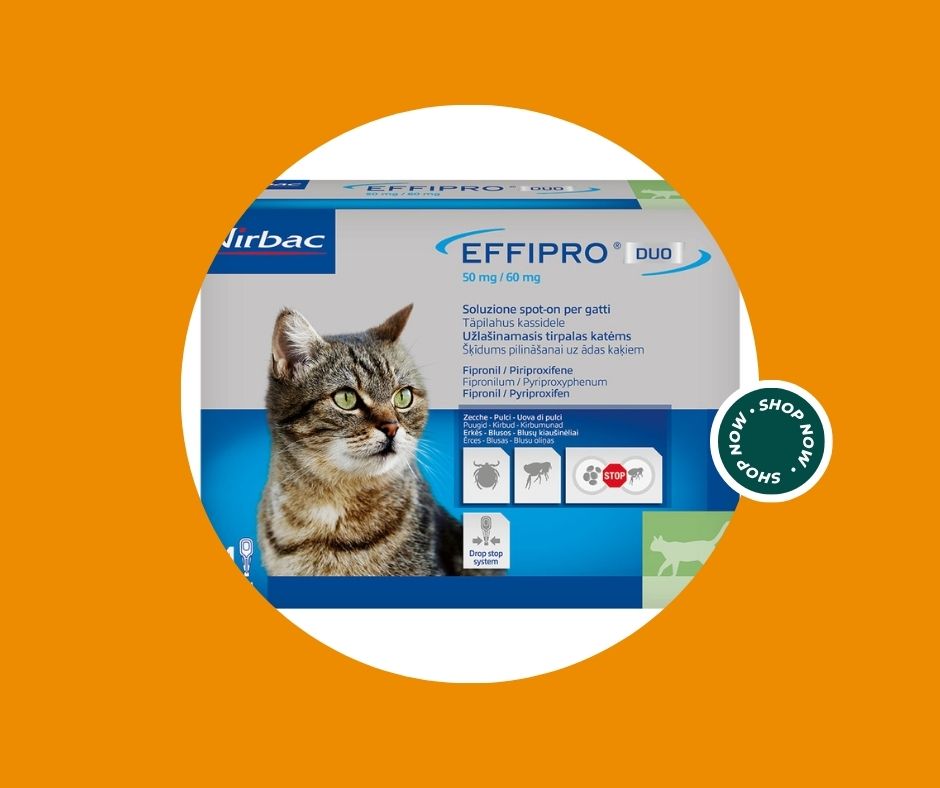 Rame 50% concime in polvere a base di ossicloruro di rame