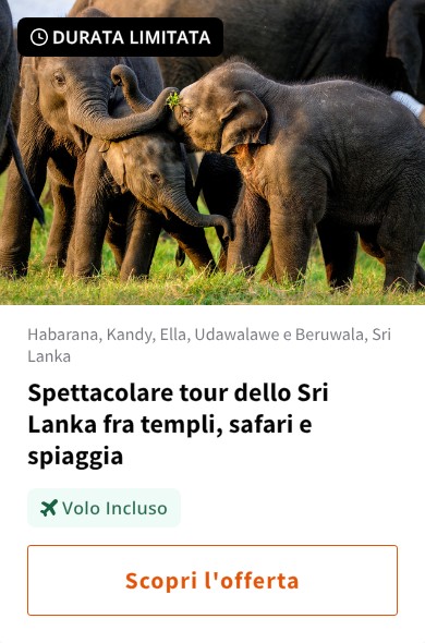 Spettacolare tour dello Sri Lanka fra templi, safari e spiaggia