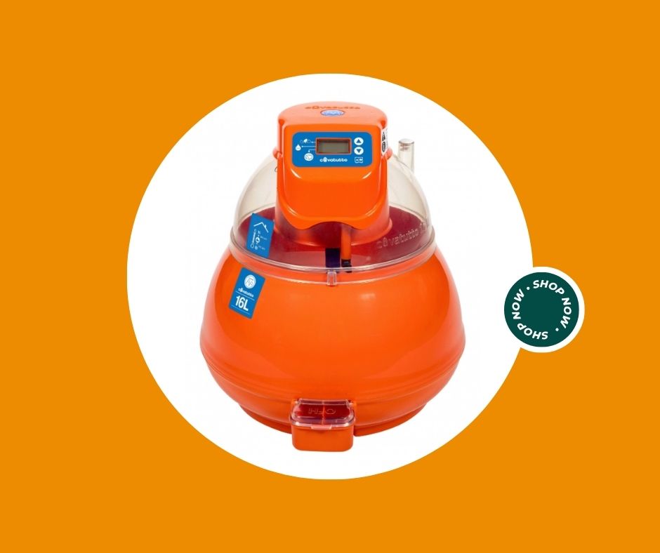 Bado insetticida in polvere prontouso