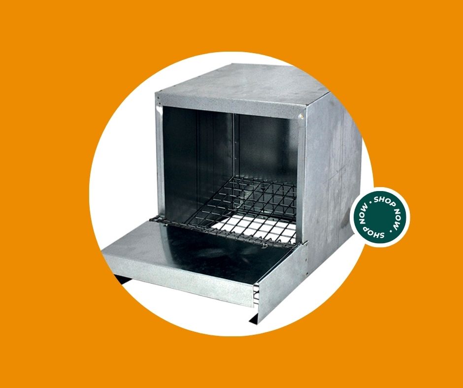 Terriccio substrato per azalee e rododendri